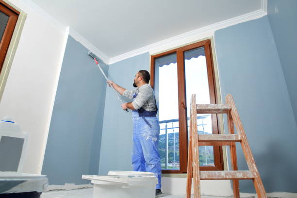 Best Mold Damage Restoration  in Brent, FL
