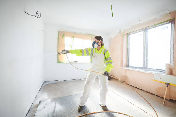 Best Post-Construction Mold Inspection  in Brent, FL