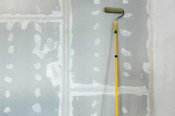 Best Emergency Mold Remediation  in Brent, FL