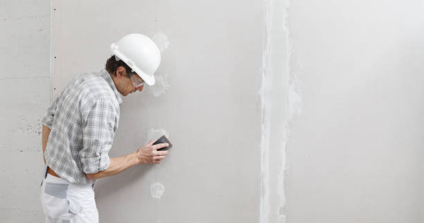 Best Air Quality Testing for Mold Spores  in Brent, FL