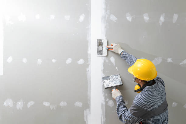 Best Biohazard Mold Removal  in Brent, FL