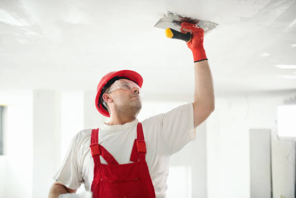 Best Mold Remediation for Healthcare Facilities  in Brent, FL