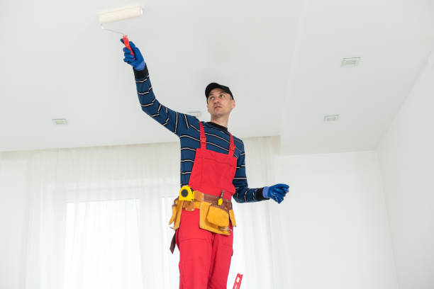 Best Asbestos and Lead Testing During Mold Inspection  in Brent, FL
