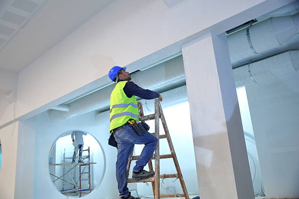 Best Basement Mold Removal  in Brent, FL
