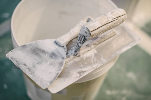 Best Attic Mold Removal  in Brent, FL