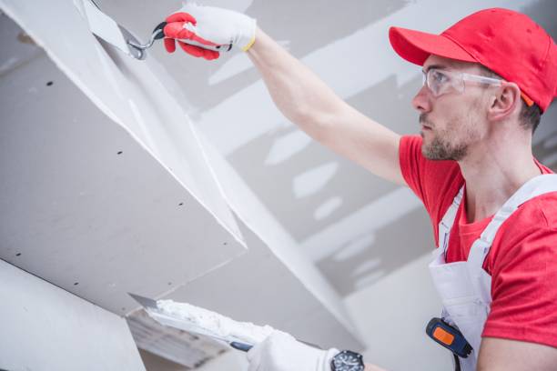 Best Crawl Space Mold Remediation  in Brent, FL