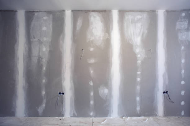 Professional Mold Removal in Brent, FL